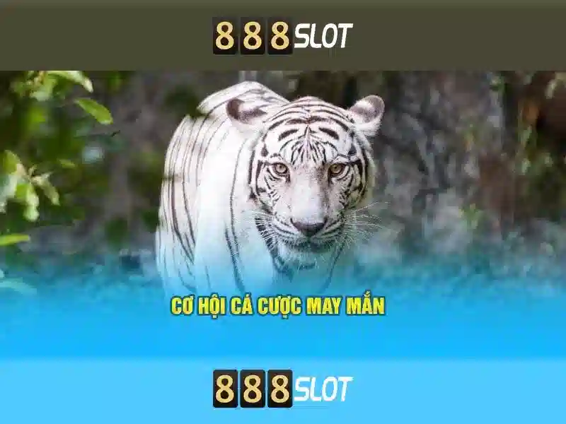 Khám phá 888slot: Nền tảng chơi game trực tuyến hàng đầu
