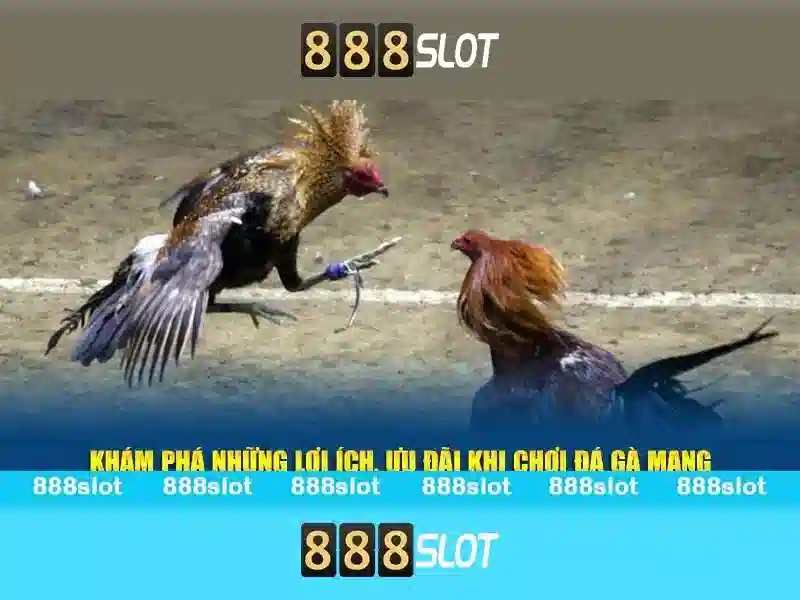 888slot: trải nghiệm casino trực tuyến tại Việt Nam
