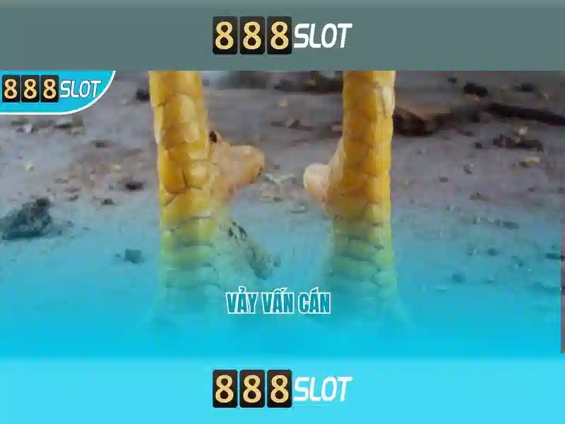 888slot - Đánh giá nền tảng chơi slot trực tuyến hàng đầu