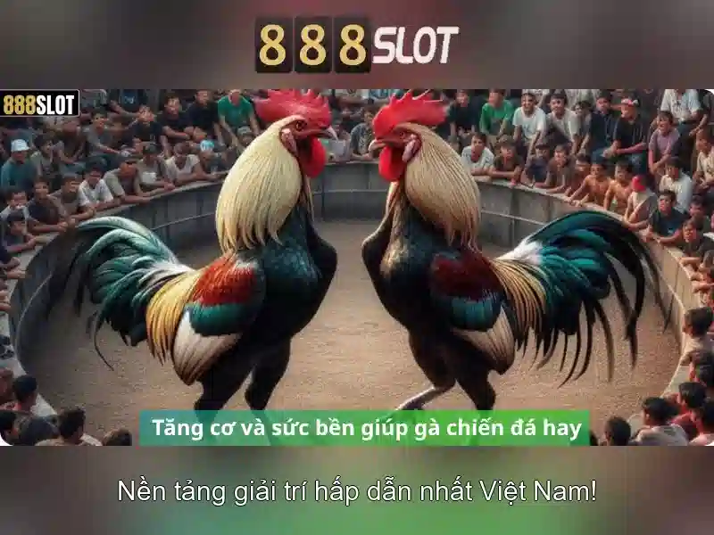 https://otramente.com.co/images/text/888slot/888slot-text260331143.webp