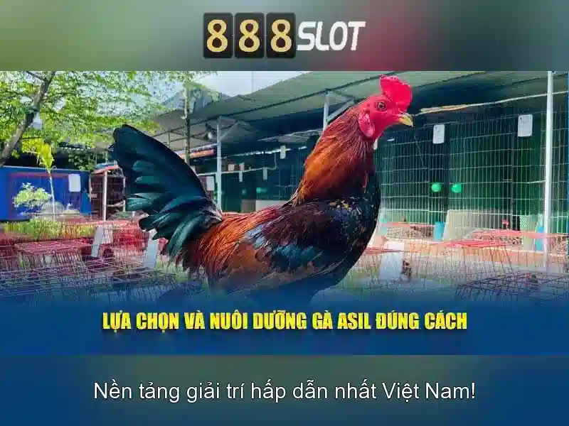 https://otramente.com.co/images/text/888slot/888slot-text2603311958.webp