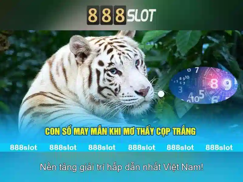 Khám phá 888slot – nền tảng casino trực tuyến uy tín
